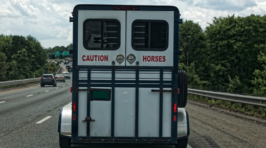 Mythbuster Monday: Horse Trailers Under a Certain GVWR Do Not Need State Inspection