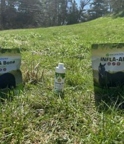 When Inflammation Meets Its Match: Silver Lining Herbs Infla-Aid at Work