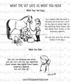 The Idea of Order: What the Vet Says vs What You Hear