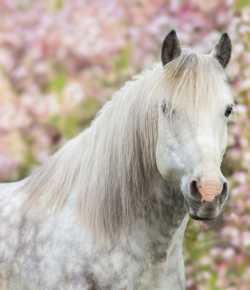 Survived Winter? Great. Now Go Clean Your Barn.