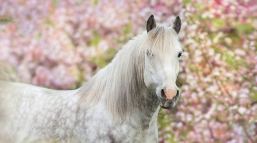 Survived Winter? Great. Now Go Clean Your Barn.