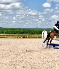 Thoroughbred Logic, Presented by Kentucky Performance Products: Get the Right Coach