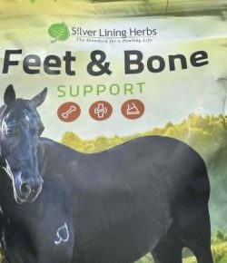 No Hoof, No Horse: Fix It with Silver Lining Herbs’s Feet & Bone Support