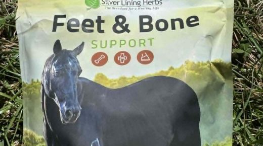 No Hoof, No Horse: Fix It with Silver Lining Herbs’s Feet & Bone Support