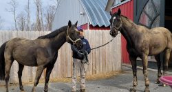 Reader Photo Challenge: Mud Season