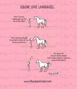 The Idea of Order: What’s Your Horse’s Love Language?