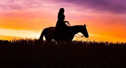 Reader Photo Challenge: Silhouettes