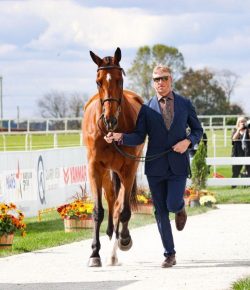 Equine Sudden Death Findings: Could a Simple Trot Reveal Hidden Heart Risk in Horses?