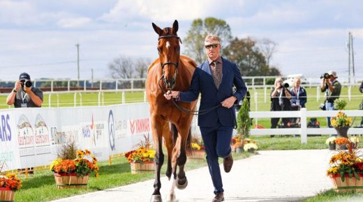 Equine Sudden Death Findings: Could a Simple Trot Reveal Hidden Heart Risk in Horses?