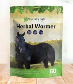 Do Horses Need a Different Approach to Deworming Today?