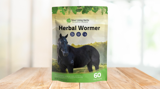 Do Horses Need a Different Approach to Deworming Today?