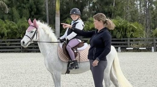 Training in the Right Way: Equitation vs Training