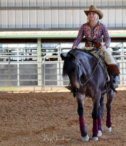 From High School Crushes to Horse Stalls: Rethinking Perfection