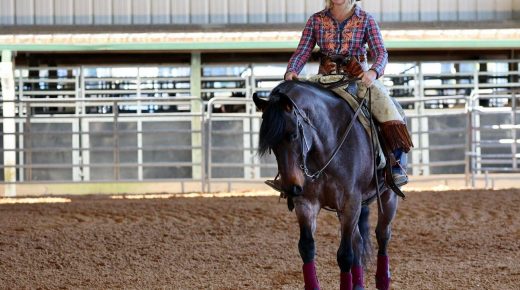 From High School Crushes to Horse Stalls: Rethinking Perfection