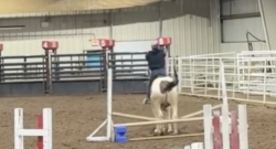 Tuesday Video: Western Horses Gone English