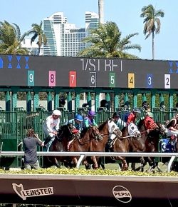 Horsing Around the World: Gulfstream Park