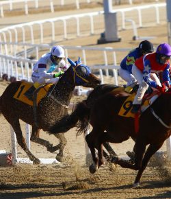 Horse Racing Betting Trends Already Shaping the 2026 Kentucky Derby