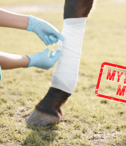 Mythbuster Monday: Wounds Should Be Covered When Temperatures Are Below Freezing