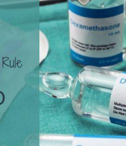 AQHA Announces Critical Dexamethasone Rule Update, Taking Effect July 1, 2026