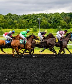 How Data and Betting Culture Are Reshaping Modern Horse Racing