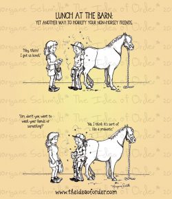 The Idea of Order: Lunch at the Barn…