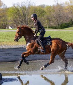 Thoroughbred Logic, Presented by Kentucky Performance Products: Bored Is (Sometimes) Good