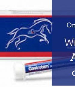 First Generic Omeprazole for Horses Wins FDA Approval After Decades of Exclusivity