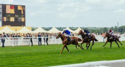 A Look at the Early Market for the Ascot Gold Cup