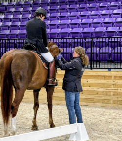 Training in the Right Way: Is Your Dressage Teacher Knowledgeable?