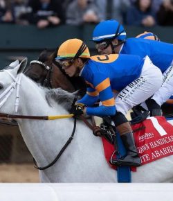 The White Abarrio Case and Racing’s Transparency Crisis