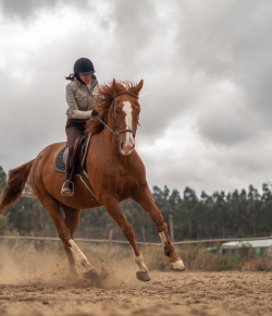 How Horse People Think About Risk (And Why We Keep Doing It Anyway)
