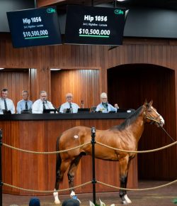 Bought on Belief: The $10.5 Million Colt