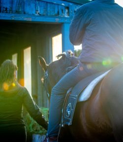 Thoroughbred Logic, Presented by Kentucky Performance Products: The Muddled-Middle of the Backside