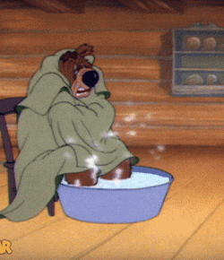 The Seven Stages of Horse Show Crud