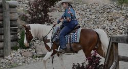 Reader Photo Challenge: Paint Horses