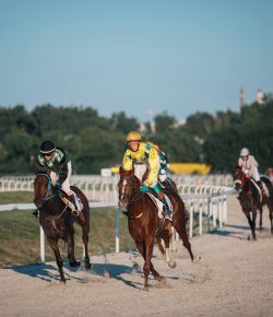 Betting on the Belmont Stakes 2026: Could an Underdog Shock the Favorites?