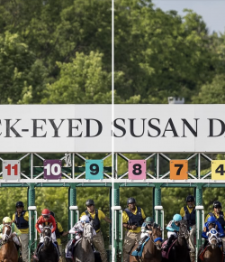 2026 Preakness Stakes Field Preview and Poll