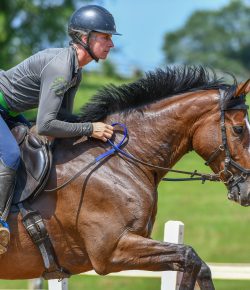 Kentucky Performance Products Presents Thoroughbred Logic: The Exit Physical