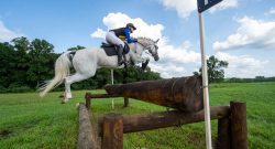 Reader Photo Challenge: Gray Horses
