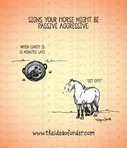 The Idea of Order: Does Your Horse Have Opinions?