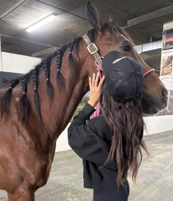 Teen Competitor Accused of Stabbing Three Barrel Horses at Las Vegas Super Show