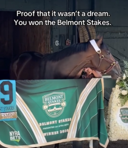 Tuesday Video: Golden Tempo Enjoying His Victory Flowers