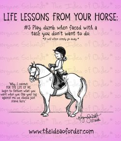 The Idea of Order: Today’s Life Lesson from Your Horse…