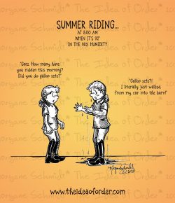 The Idea of Order: Summer Riding