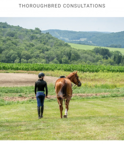 Thoroughbred Logic, Presented by Kentucky Performance Products: Get a Second Opinion