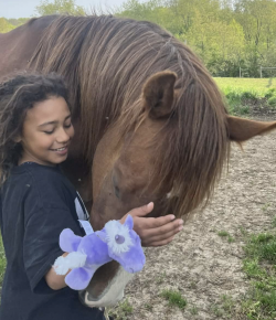 We’ve Forgotten What Winning With Our Horses Actually Means