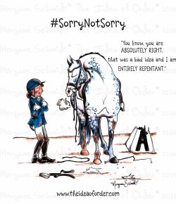 The Idea of Order: Sorry Not Sorry