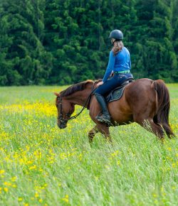 Thoroughbred Logic, Presented by Kentucky Performance Products: When It’s Not the Right Match