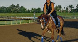 Reader Photo Challenge: Thoroughbred Horses