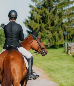 Thoroughbred Logic, Presented by Kentucky Performance Products: An Internet of “Answers”